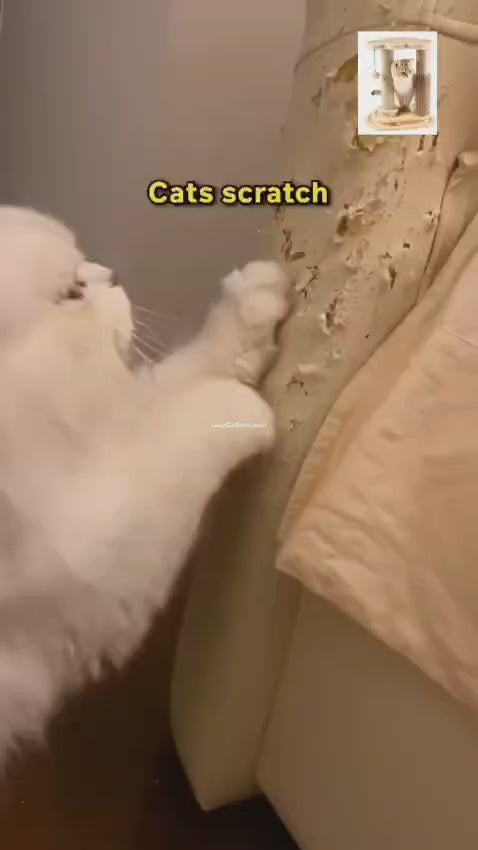 Cat Scratching Post